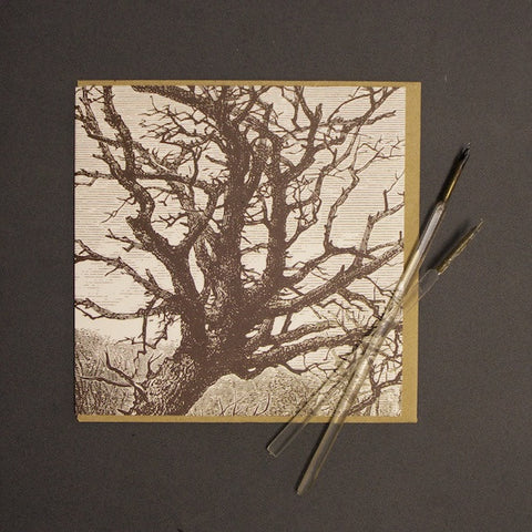 'Brown Tree' Greetings Card
