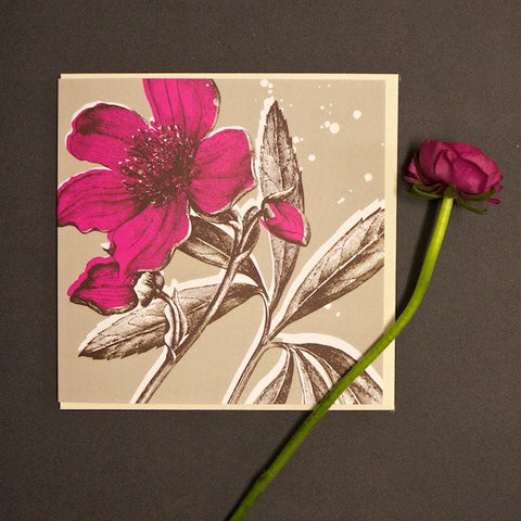 'Hellebore - Bright Pink' Greetings Card