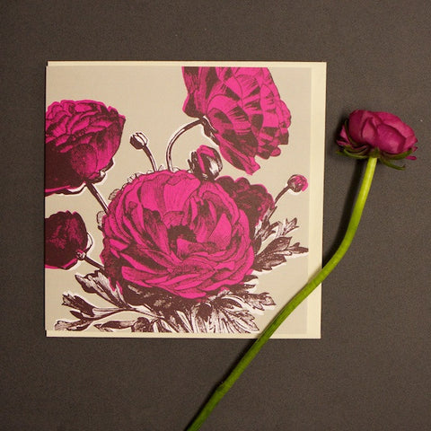 'Ranunculus - Bright Pink' Greetings Card