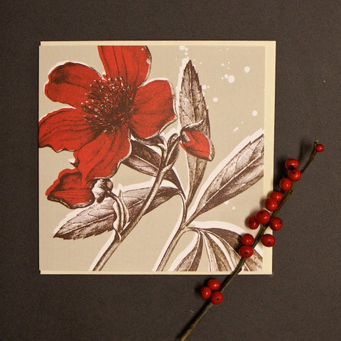 'Christmas Rose' Greetings Card